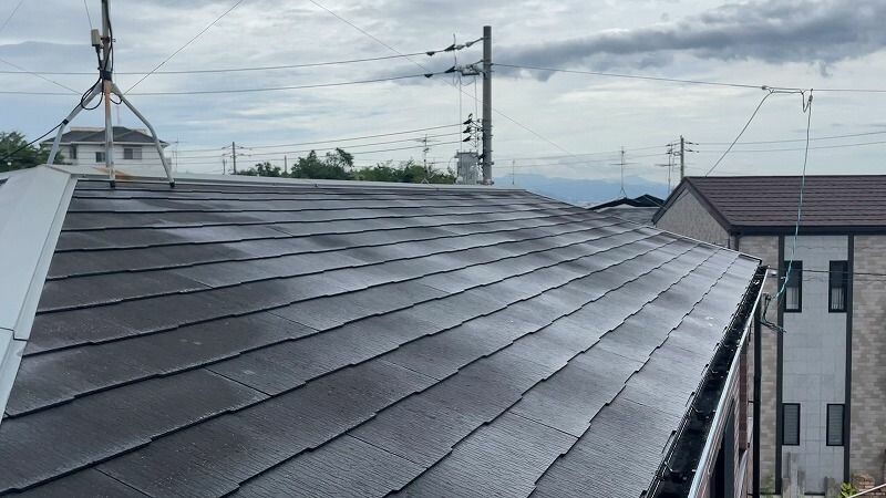 外壁塗装　リプルクリエイト　広島市　佐伯区　五日市　廿日市市　西区　ペイントライン　無機ハイブリッドチタンガード　ゼニス　レガロ　耐久年数　30年　40年外壁洗浄　屋根洗浄　シーリング打ち替え　カビ　藻　破風塗装　軒塗装　付帯部塗装　ヒビ　クラック　レジリエンスウレア　塗膜